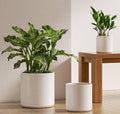 Set of 3 White Indoor Plant Pots (10", 8", 6") with Drainage Hole and Plug for Indoor and Patio Decor