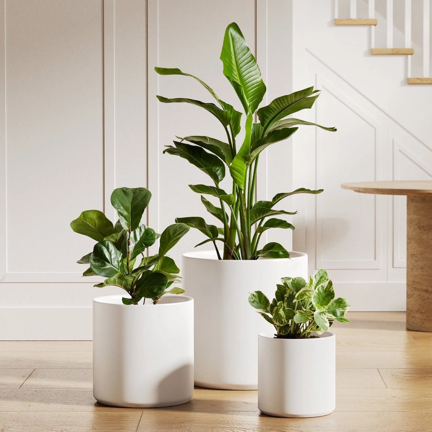Set of 3 White Indoor Plant Pots (10", 8", 6") with Drainage Hole and Plug for Indoor and Patio Decor