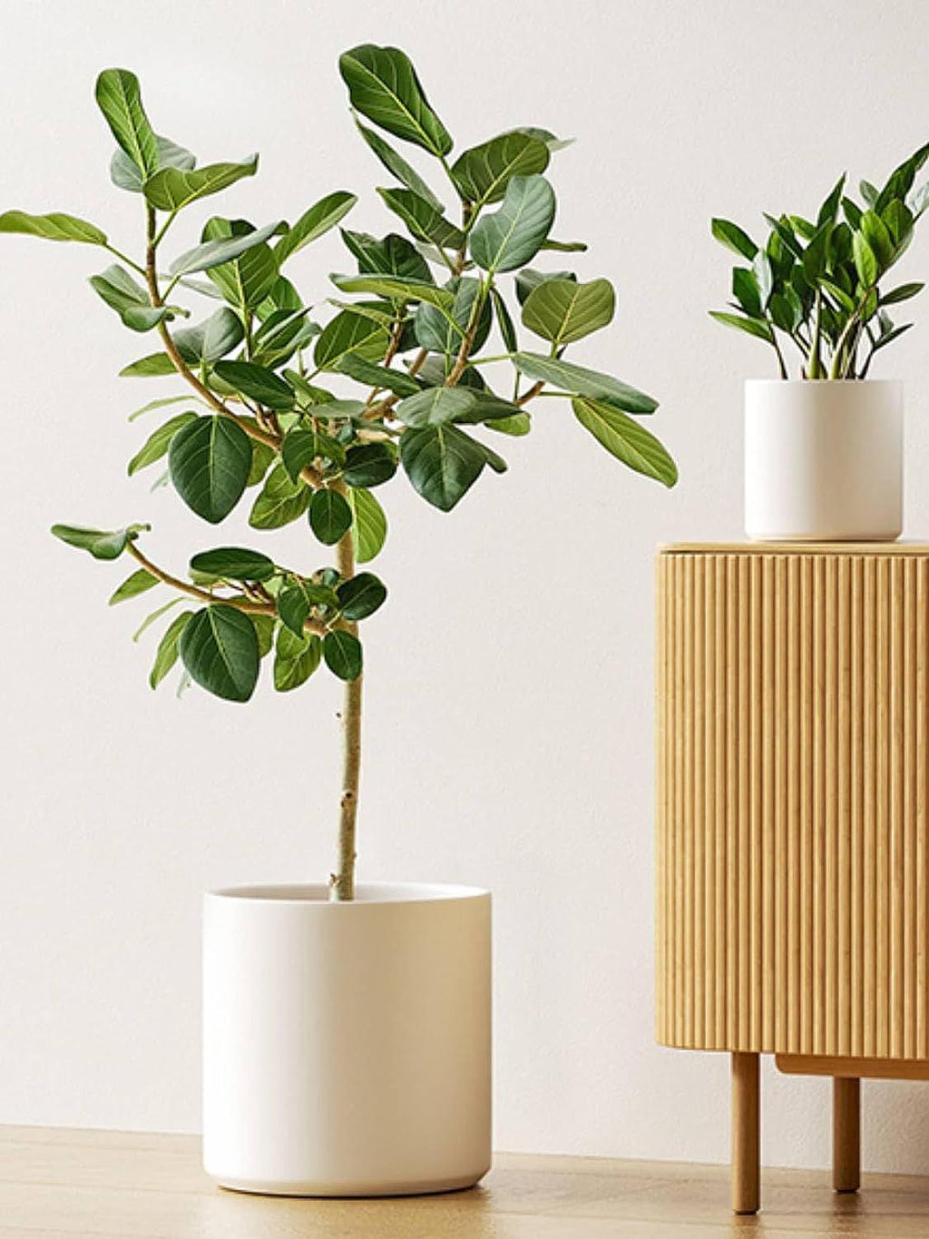 Set of 3 White Indoor Plant Pots (10", 8", 6") with Drainage Hole and Plug for Indoor and Patio Decor