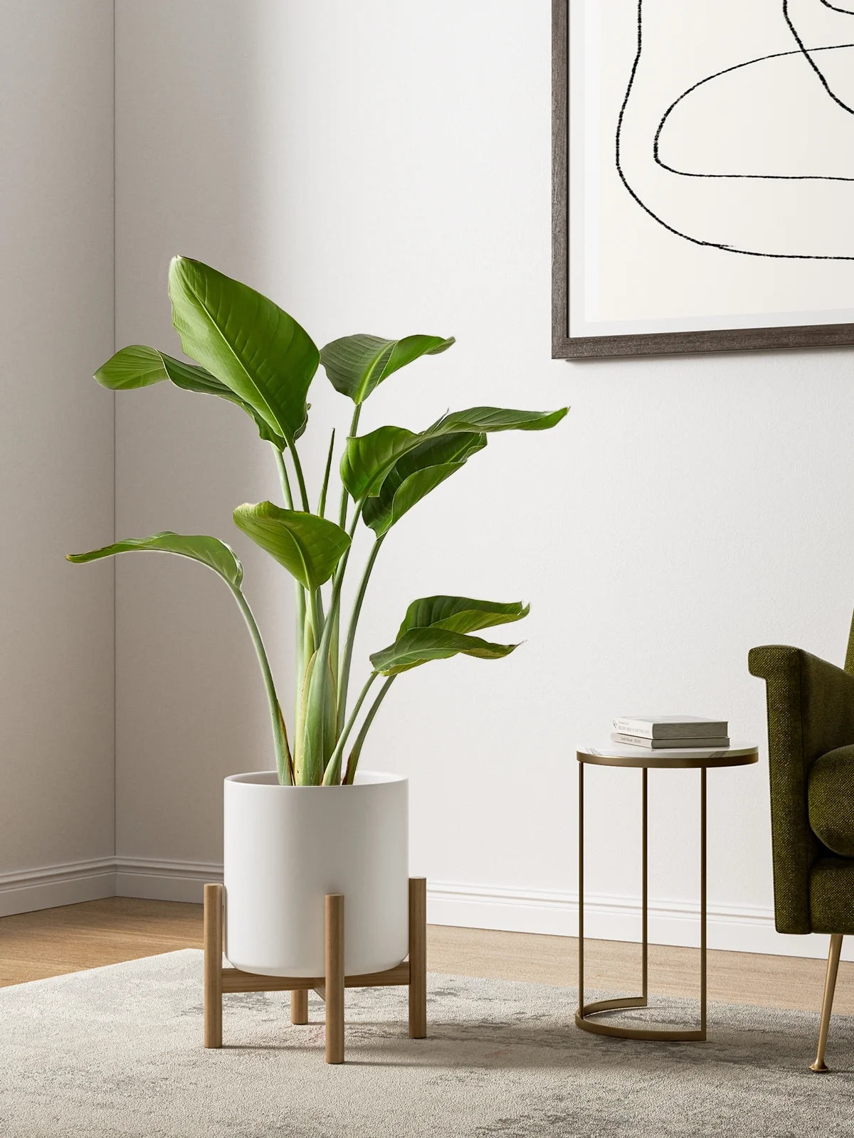 Set of 3 White Indoor Plant Pots (10", 8", 6") with Drainage Hole and Plug for Indoor and Patio Decor